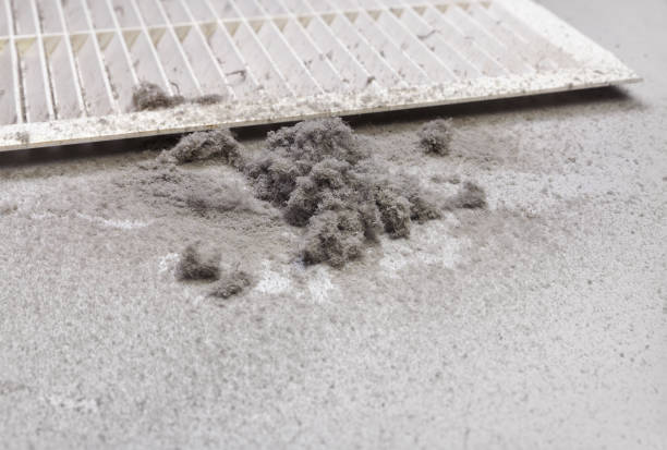 Best Air Duct Cleaning Near Me  in Detroit Beach, MI