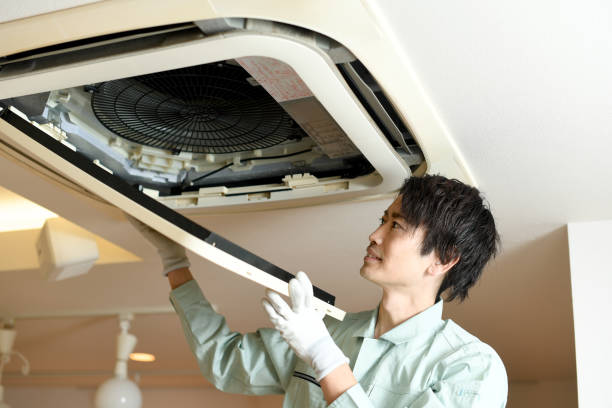 Best Air Duct Cleaning Near Me  in Detroit Beach, MI