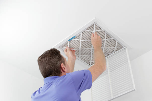 Best Commercial Air Duct Cleaning  in Detroit Beach, MI